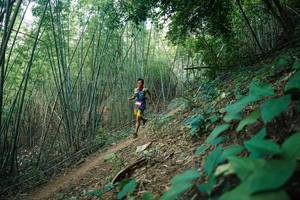 BIB: 
                            <button type="button" onclick="openModal(28141197)" class="btn btn-primary btn-sm float-right btn-popup" data-toggle="modal" data-target=".modal-high-quality">
                        <i class="fas fa-shopping-cart"></i> Add to Cart
                    </button>
                                            <button type="button" onclick="isThisMe(28141197, true)" class="btn btn-success btn-sm float-right btn-popup btn-isme hidden" data-toggle="tooltip" data-placement="bottom" title="นี่คือรูปของคุณใช่ไหม คลิกที่นี่เพื่อเอาเข้าอัลบั้ม">
                        <i class="fas fa-plus"></i> Add to album
                    </button>
                    <button type="button" onclick="isThisMe(28141197, false)" class="btn btn-warning btn-sm float-right btn-popup btn-isnotme hidden">
                        <i class="fas fa-ban"></i> Remove from album
                    </button>